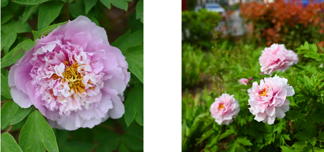 1719192793859898.png image.png